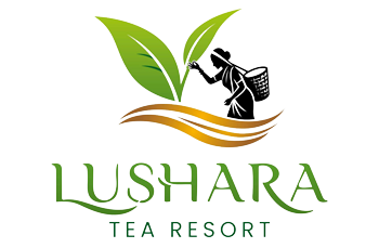 Lushara Tea Resort